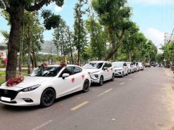 Chọn Thuê Xe đám Cưới Giá Rẻ ở Quy Nhơn DỊch VỤ XỨ NẪu